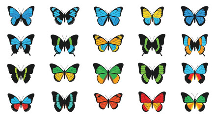 Colorful Butterfly Collection Vector Illustration On White Background © Sonia512