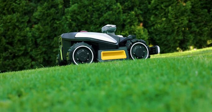 Robotic lawn mower working at garden cutting lush green grass. Automated lawn care