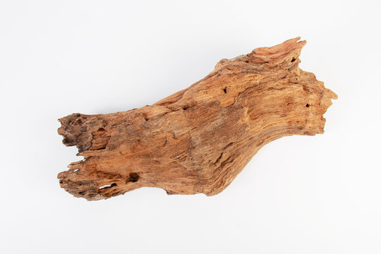 Tree bark piece, Bark of tree,old wooden isolated on white, top view 