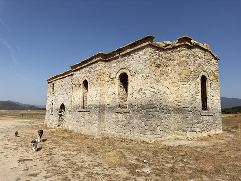 Three Stray dogs running past the Submerged Church of St John of Rila during the building of Zhrebchevo Dam, Zapalnya, Bulgaria