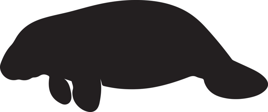 Black silhouette icon of a manatee swimming with silhouette swimming wildlife