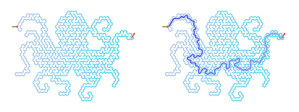 Octopus shaped maze challenge with answers. Hexagonal grid labyrinth puzzle showing unsolved and solved paths. Educational brain teaser game on transparent background