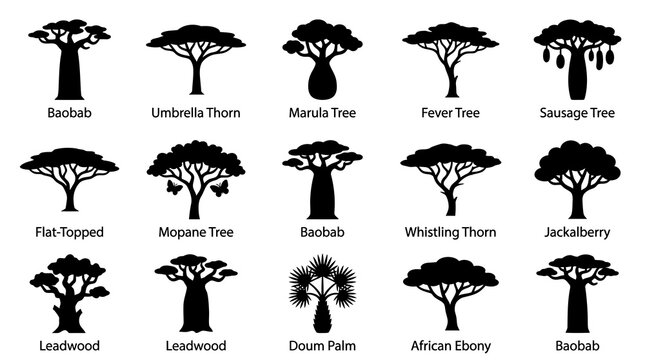 Collection of various African tree silhouettes.