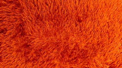 Brown shaggy faux fur texture background full frame © Faried