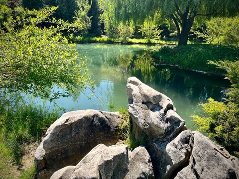 Large rocks at the edge of a lake surrounded by lush trees on a summer day, Bosnia and Herzegovina