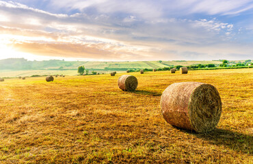 amazing hay stack summer field with golden hay grass on the ground and round stacks on foreground and amazing sunset green valley landscape on background © Yaroslav