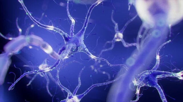 Neuron cells with synapses in the human brain firing signals. Neuron and synapse activity, Nerve conduction, biology concept, 3D rendering.