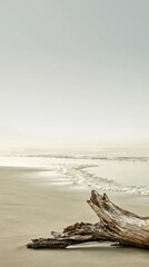 Fototapeta premium Vertical minimalist foggy beach landscape with an old driftwood log on the sand