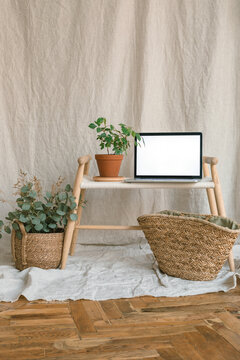 Open laptop with a blank screen on a wooden bench surrounded by green houseplants and woven baskets