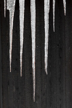 Close up of long sharp icicles hanging over black wall, Nozawaonsen, Japan