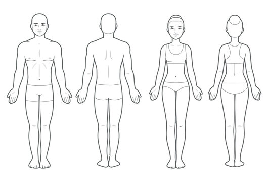 Male and Female Anatomy Line Art Figures in Front and Back View