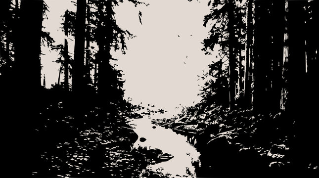 Dark Forest Stream Path Silhouette