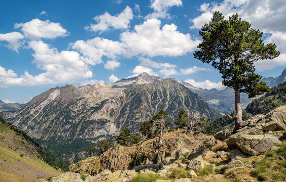 View of Monte Perdido massif from the Estos Valley hiking trail, Posets-Maladeta Natural Park, Huesca, Aragon, Spain