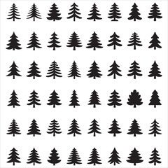 Obraz premium Forest Pine Tree Silhouette