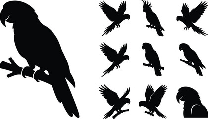 Obraz premium Collection of Exotic Parrot Silhouettes in Various Dynamic Poses and Perched