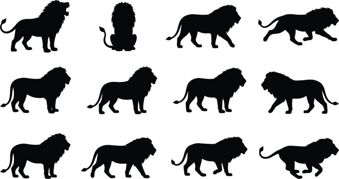 Collection of Silhouetted Lions in Various Poses and Actions