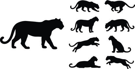 Fototapeta premium Panther Silhouette Vector Collection Design With Wildlife Animal Poses