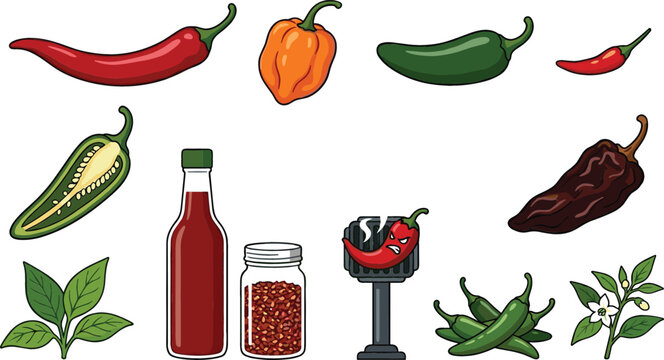 Collection of chili pepper and hot sauce vector illustrations featuring jalape&ntilde;o, habanero, ghost pepper and spicy seasoning ingredient designs