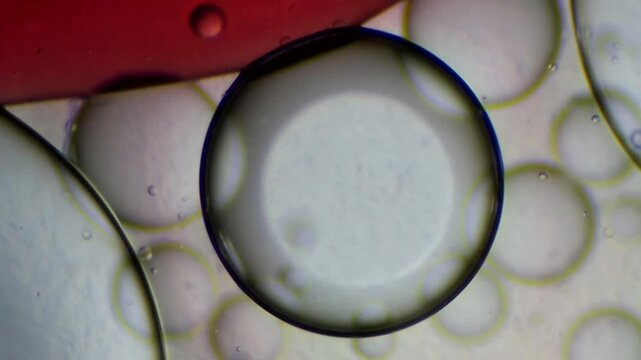 Abstract macro photography of a large central oil drop surrounded by smaller bubbles with a red top border