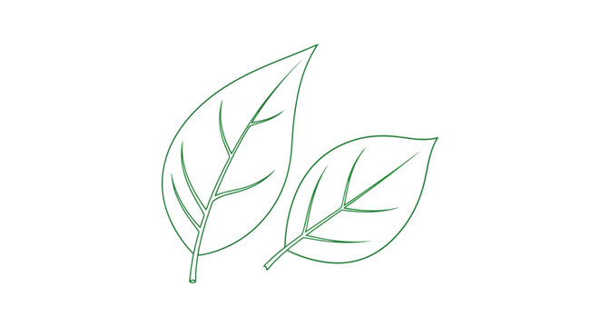 Green Line Art Leaves A Botanical Vector Illustration
