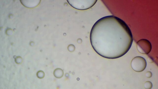 Abstract macro photography of scattered oil and water drops on a diagonally split red and white background