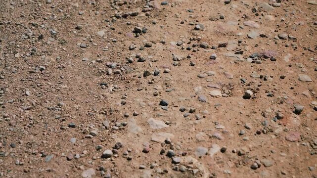 Close-up of dry ground with small stones and pebbles. Natural texture of dirt and gravel surface in outdoor environment. High quality 4k footage