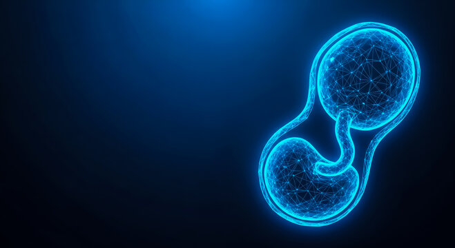 Microscopic image of a glowing blue cell in the process of division, showcasing intricate details.