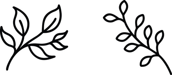 Set of two simple branch illustrations with leaves in outline art style for nature themes and floral pattern decorations. © meerobeul