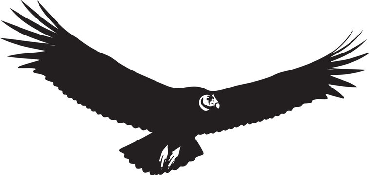 Silhouette of a soaring eagle in flight with outstretched wings, Generative Ai