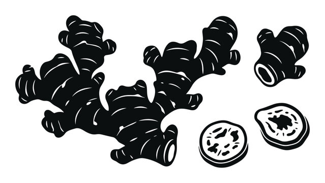 Black silhouette ginger root icon set on checkered ground