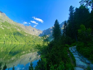 Forest trail near Morskie Oko lake in Tatra mountains, Poland. © Darja
