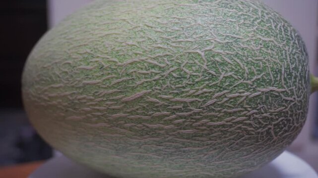 Fresh Whole Cantaloupe Melon Close-Up