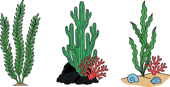 Seaweed vector set with underwater coral reef plant icons isolated on a transparent checkered grid background