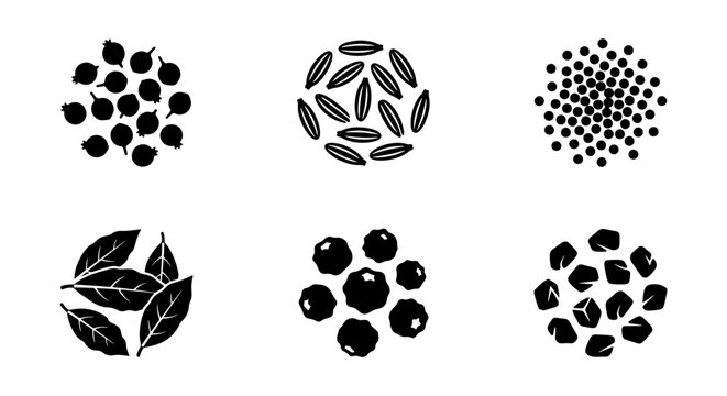 Minimalist spice icons, black herb silhouettes, 6 culinary vector elements