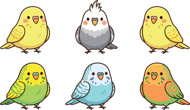 Parrot vector icon set with cute budgie cockatiel bird flat color illustrations on transparent checkered background
