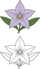 Obraz premium Purple flower vector set with bluebell balloon flower outline icons isolated on plain clean white background