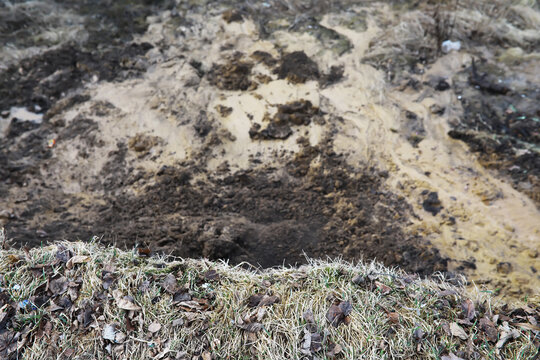 Muddy Terrain and Earthy Landscape with Vegetation
