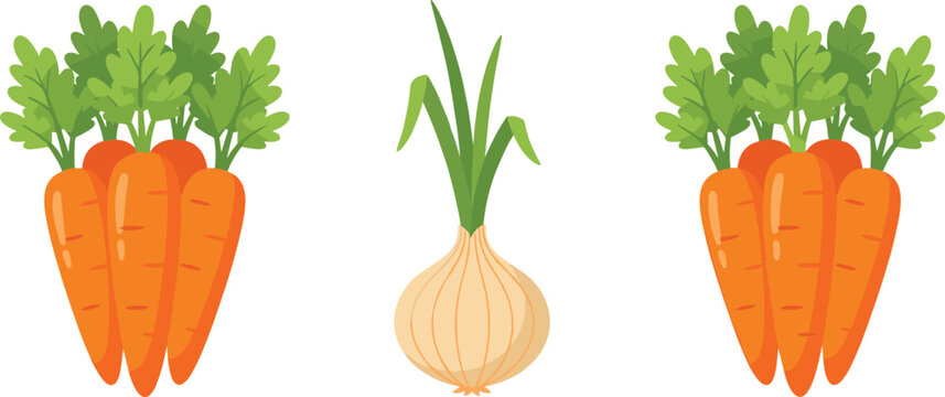 Cute cartoon vegetable vector icon set with fresh orange carrots bunch and raw white onion bulb isolated on white background flat illustration