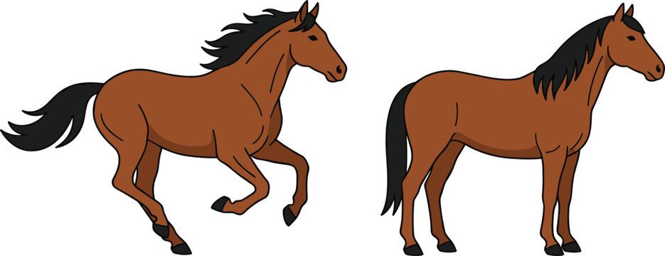 Brown horse character set with beautiful wild stallion galloping fast and standing in profile isolated on white background flat vector illustration collection