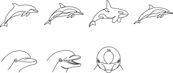 Minimalist Dolphin Line Art Icon Set Featuring Jumping Orca Killer Whale and Detailed Cetacean Head Profiles for Marine Wildlife Logos and Tattoo Designs © Lcpl