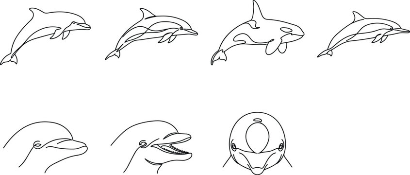 Minimalist Dolphin Line Art Icon Set Featuring Jumping Orca Killer Whale and Detailed Cetacean Head Profiles for Marine Wildlife Logos and Tattoo Designs