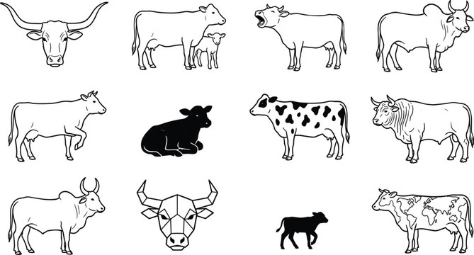 Cow and Cattle Line Art Icon Set Featuring Texas Longhorn Bull Dairy Heifer Calf Silhouette Zebu Ox Geometric Polygonal Bull Head and World Map Cow Illustrations