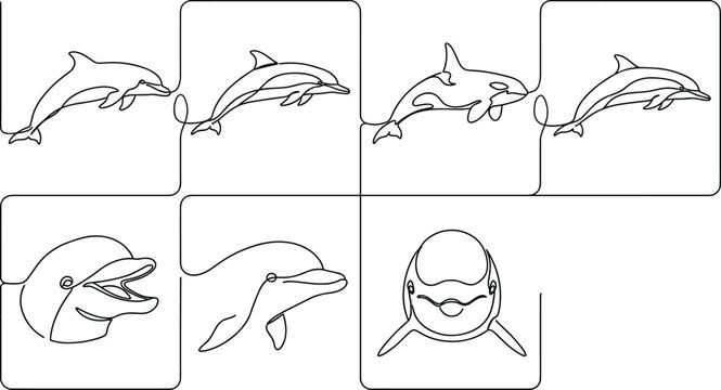 Continuous Line Art Dolphin Icon Set Featuring Jumping Orca Killer Whale and Detailed Cetacean Head Profiles for Marine Wildlife Logos and Tattoo Designs