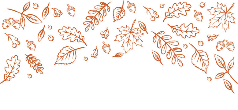 Autumn leaves and acorns border, fall season hand drawn elements, decorative botanical frame vector illustration