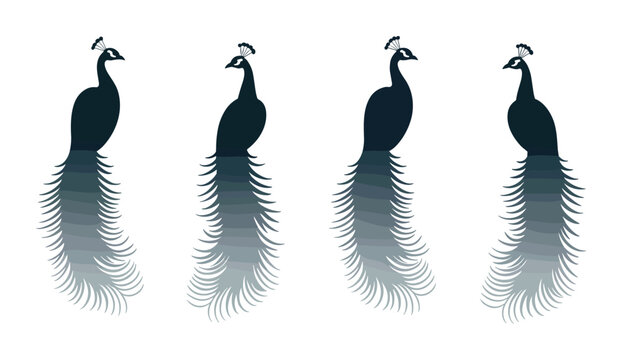 Minimal Peacock Silhouette Set: Set of graceful peacock silhouettes with flowing feather tails in dark blue tones. peacock silhouette, elegant bird, feather tail, decorative nature art.