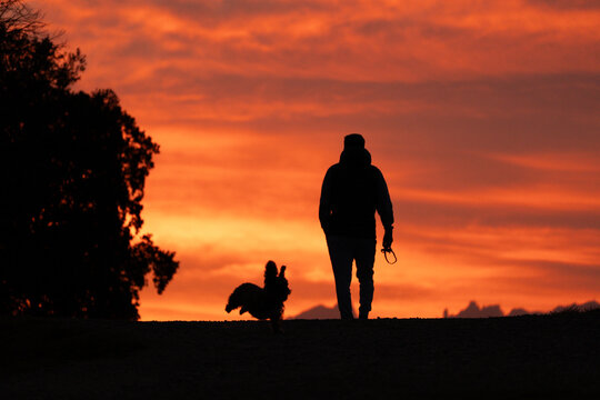 Silueta de hombre y su perro feliz paseando 