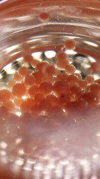 Primer plano del proceso de esferificaci&oacute;n en macrofotograf&iacute;a. T&eacute;cnica de gastronom&iacute;a molecular. Primer plano del proceso de esferificaci&oacute;n. Gastronom&iacute;a molecular, t&eacute;cnica culinaria de vanguardia.