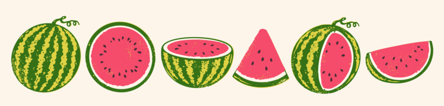 Juicy ripe Watermelon set. Whole, half, sliced berry, triangle slice of watermelon. Summer fruit theme. Hand drawn trendy Vector illustration. Isolated design elements. Poster, print, logo template