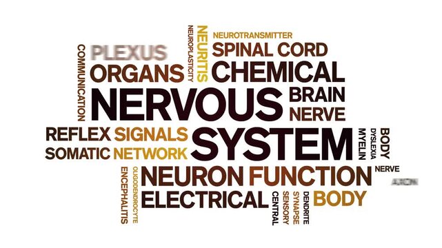 Nervous System animated word cloud-text design animation tag kinetic typography seamless loop.