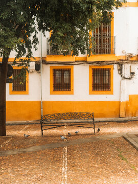 View of a traditional white building with yellow window frames and an ornate metal bench on a cobblestone street Cordoba, Andalusia, Spain.